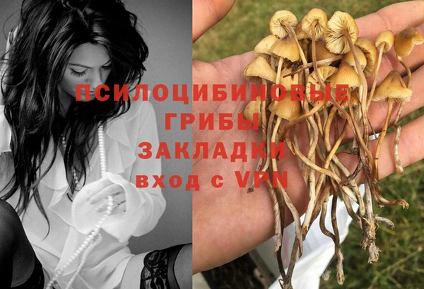 spice Белоозёрский
